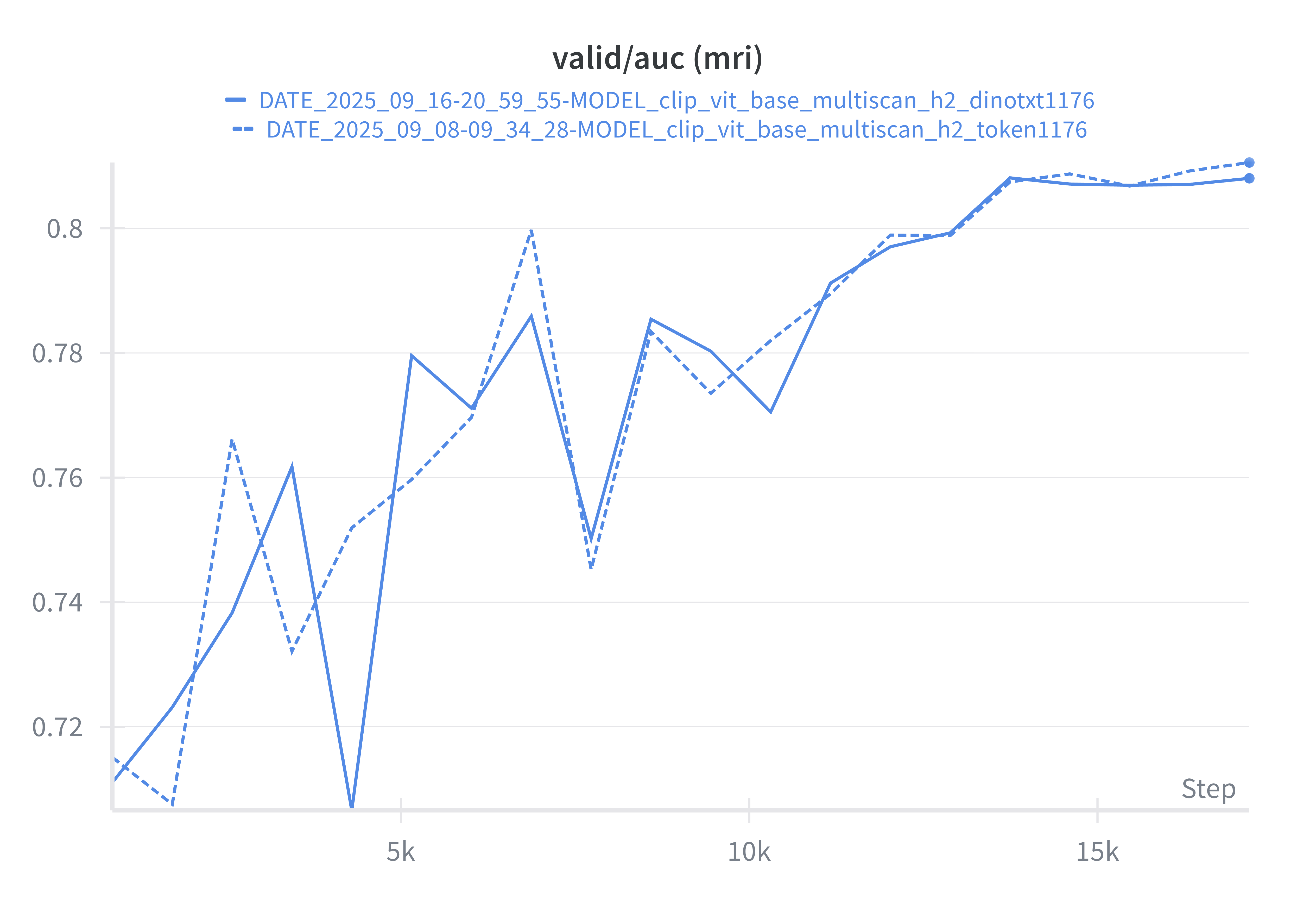 cls token → dino.txt